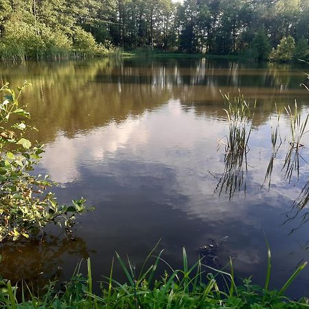 Marcinowka Villa Gołdap Екстериор снимка