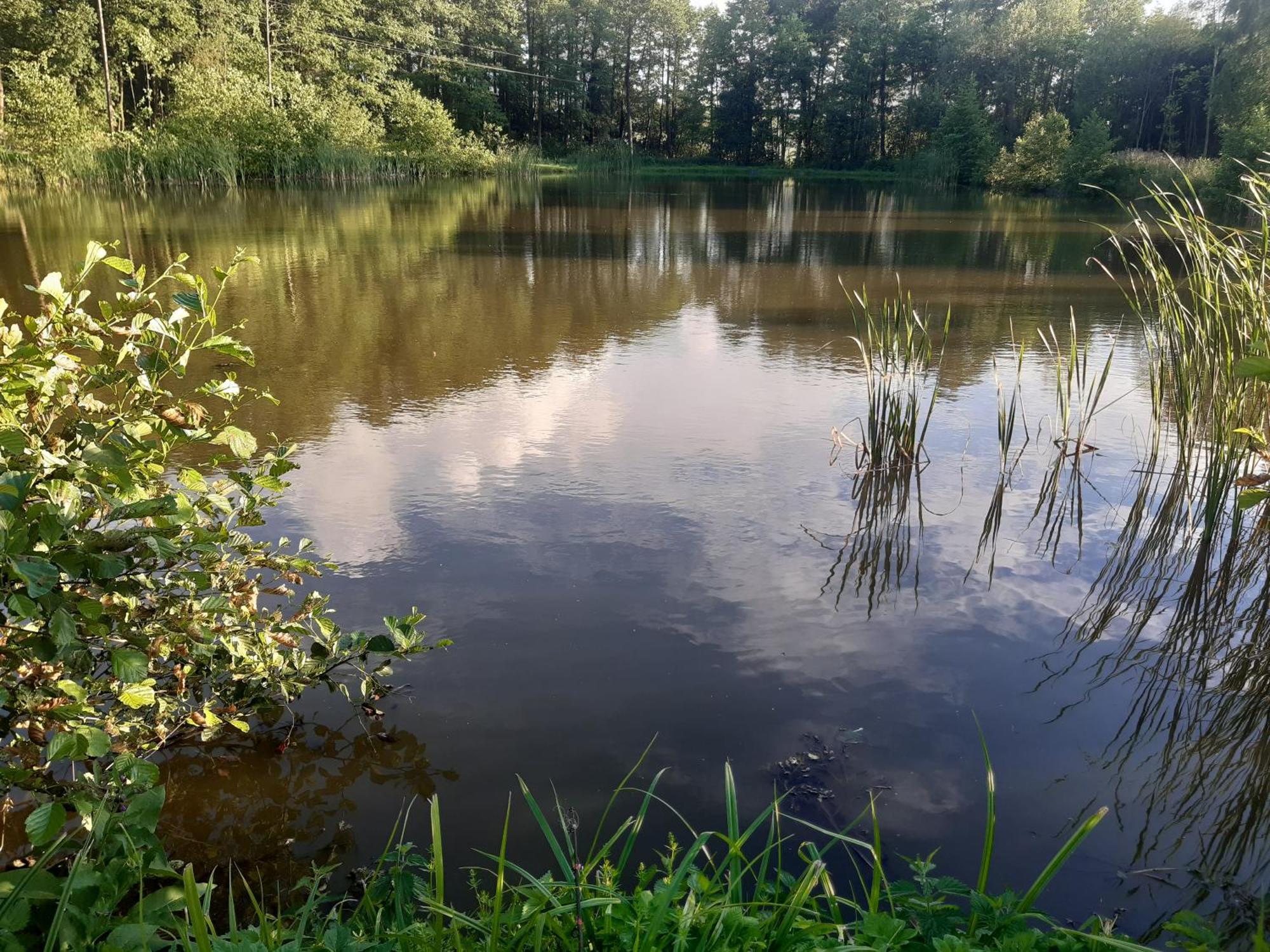 Marcinowka Villa Gołdap Екстериор снимка