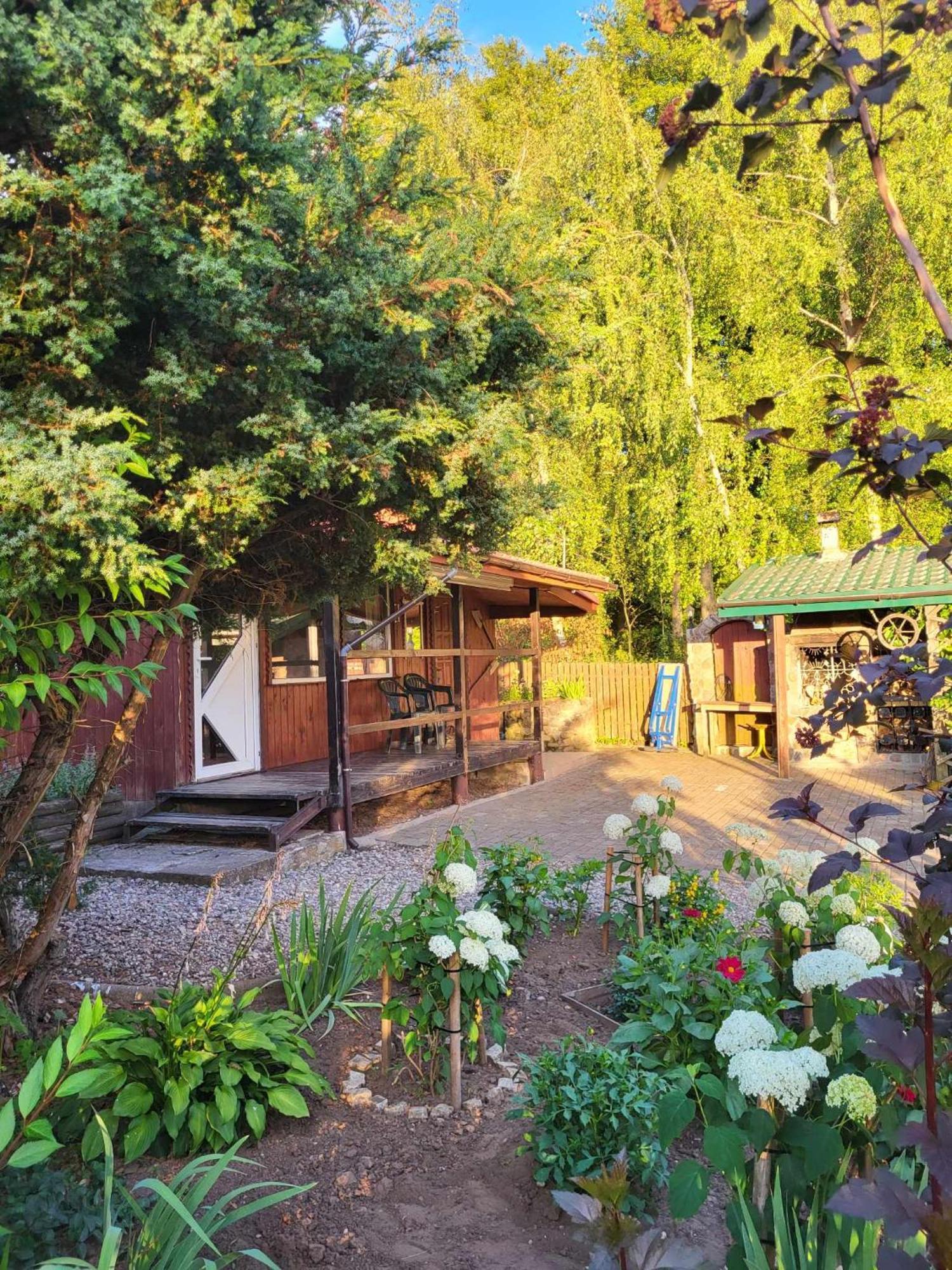 Marcinowka Villa Gołdap Екстериор снимка